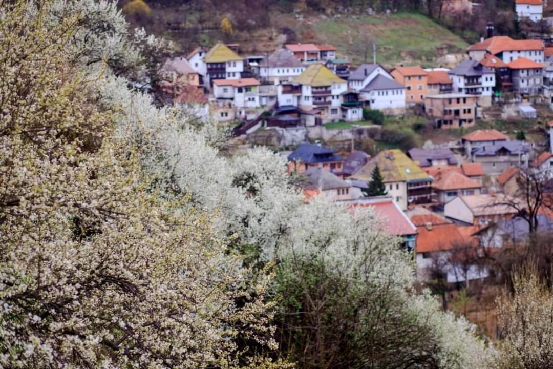 Panorama Travnik Apart otel Dış mekan fotoğraf